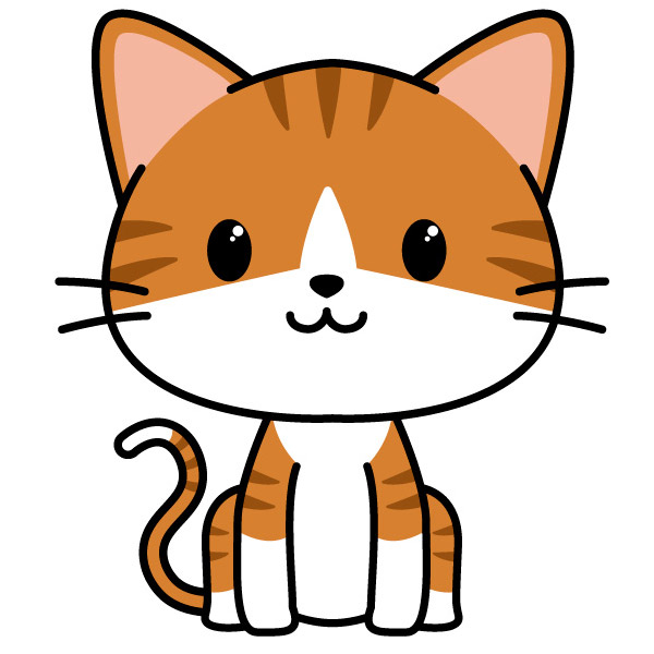 Gato tierno